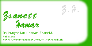 zsanett hamar business card